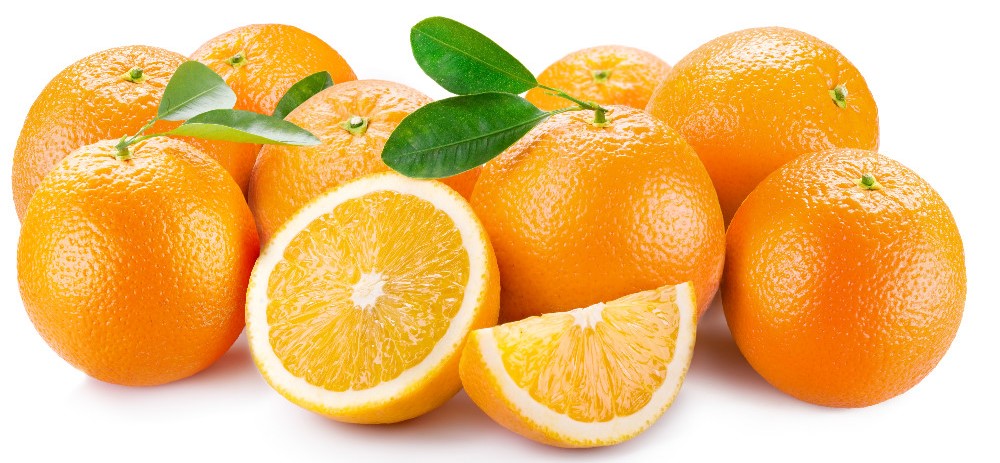 tüplü aşılı portakal fidanı satın al